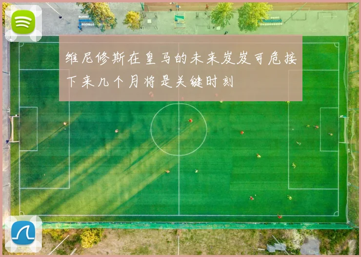 维尼修斯在皇马的未来岌岌可危接下来几个月将是关键时刻