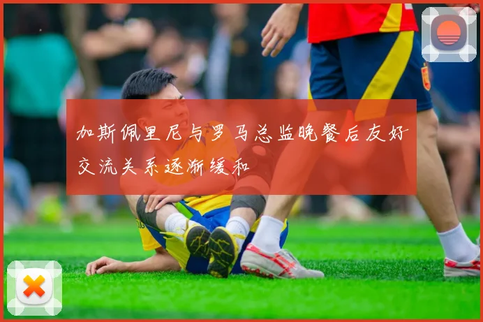 加斯佩里尼与罗马总监晚餐后友好交流关系逐渐缓和