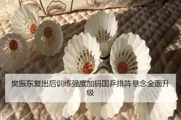 樊振东复出后训练强度加码国乒排阵悬念全面升级 - KaiyunSports
